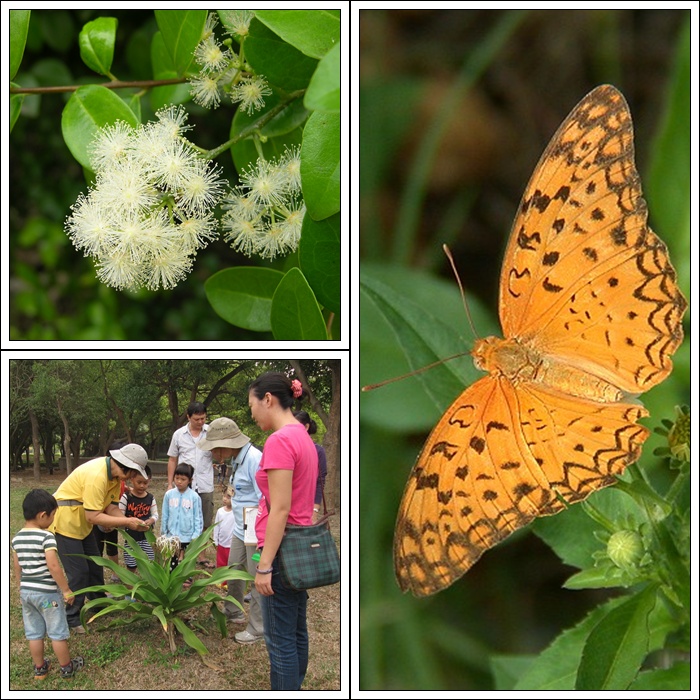 1031115-16-親子自然觀察活動