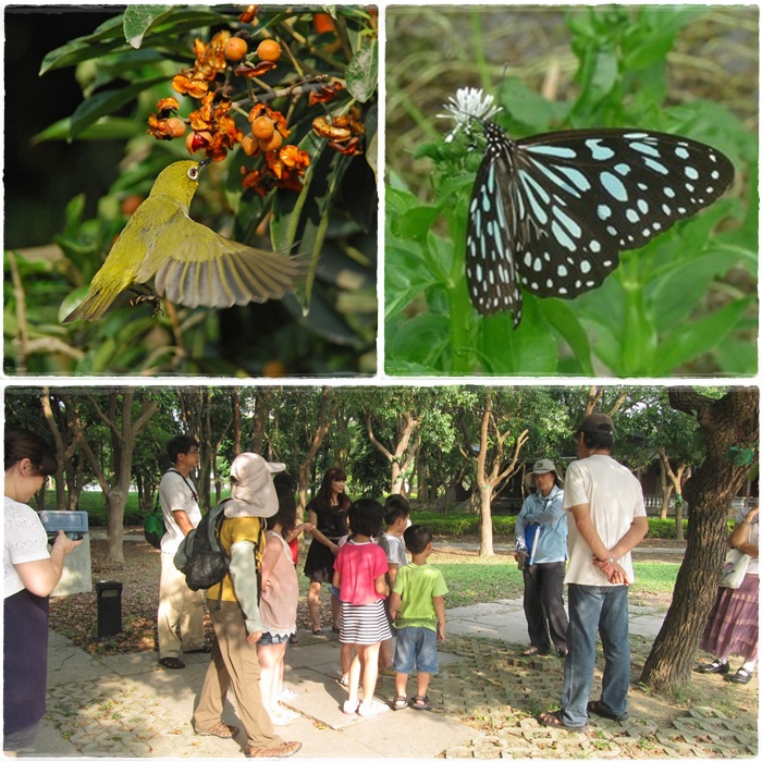1031122-23-親子自然觀察活動 1031122-23-親子自然觀察活動