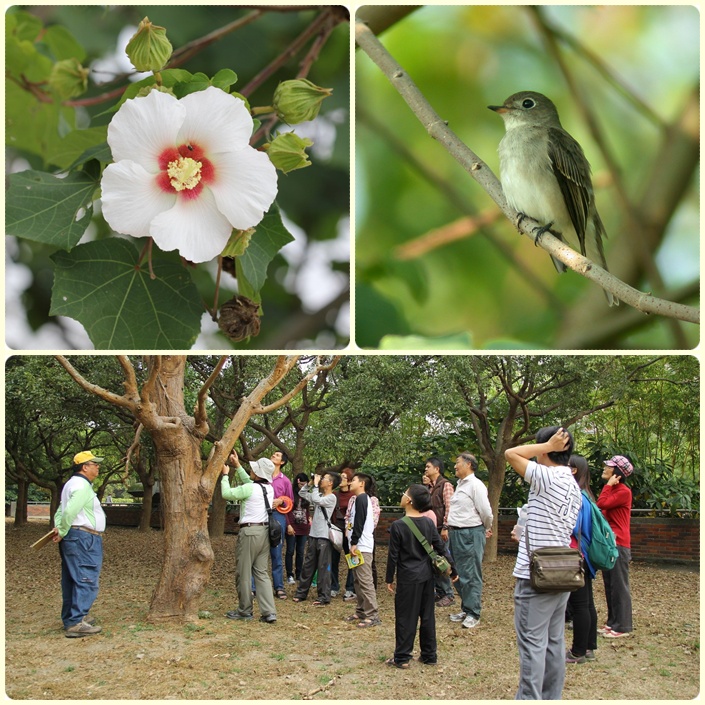 1031220-1221-親子自然觀察活動 1031220-1221-親子自然觀察活動