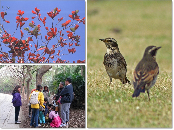 1031227-1228-親子自然觀察活動