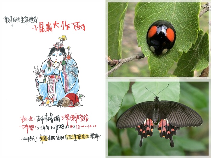 1031228-自然遊戲-小昆蟲大作為