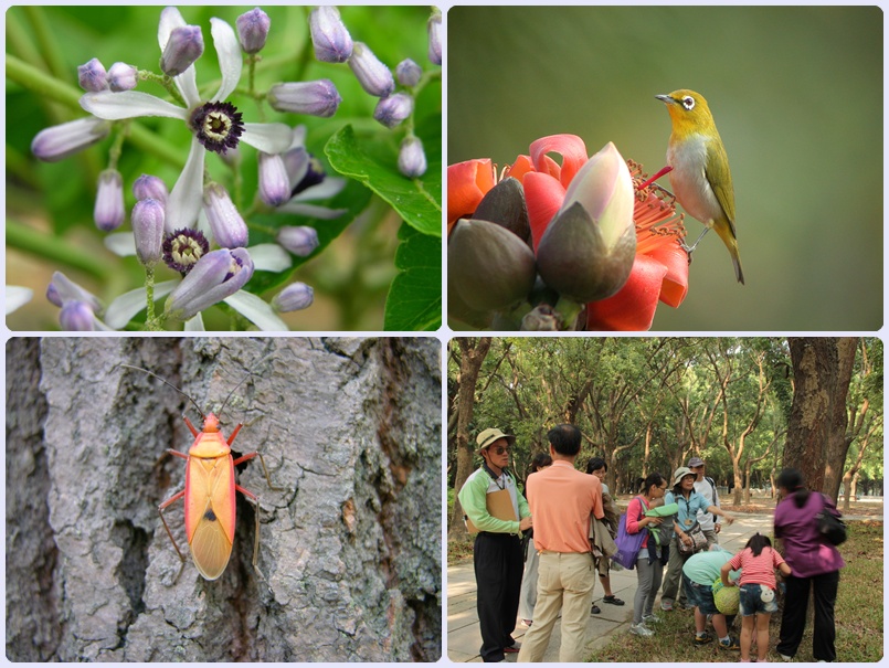 103年3月15-16日自然觀察宣導附圖