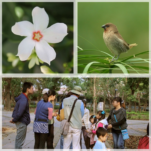 1040110-0111-親子自然觀察活動