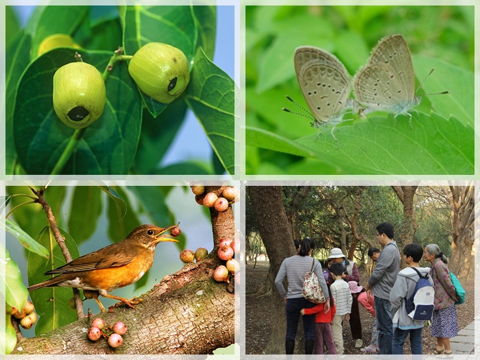 1040124-0125-親子自然觀察活動 1040124-0125-親子自然觀察活動