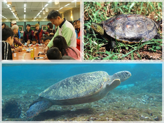 1040125-親子自然遊戲-龜