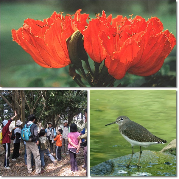 1040131-0201-親子自然觀察活動