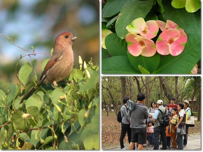 1040214-0215-親子自然觀察活動