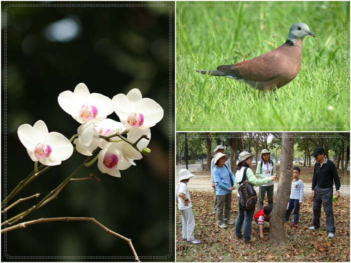 1040221-0222-親子自然觀察活動