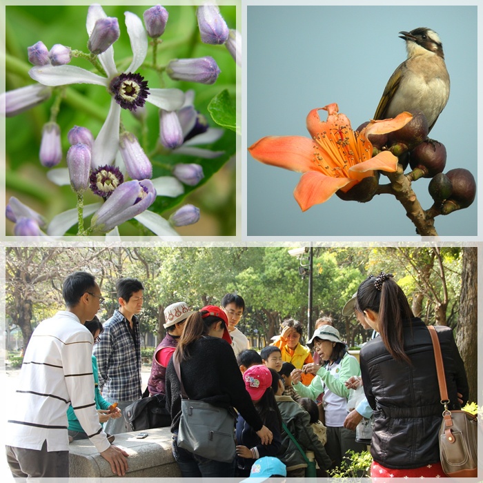 1040228-0301-親子自然觀察活動