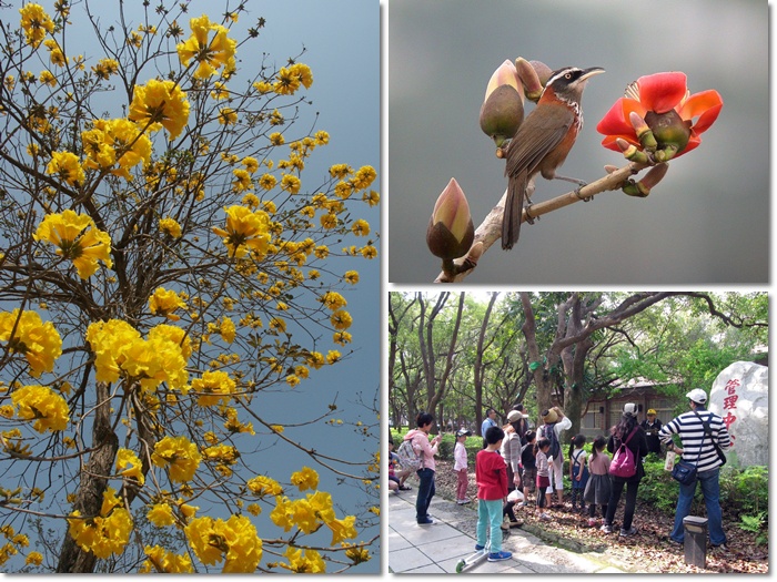 1040307-0308-親子自然觀察活動 1040307-0308-親子自然觀察活動