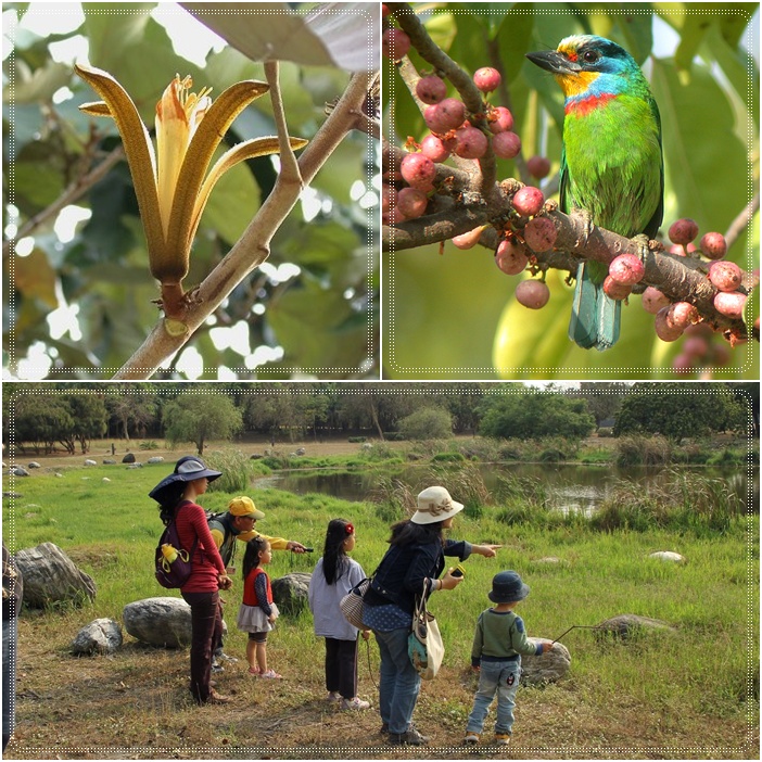 1040321-0322-親子自然觀察活動