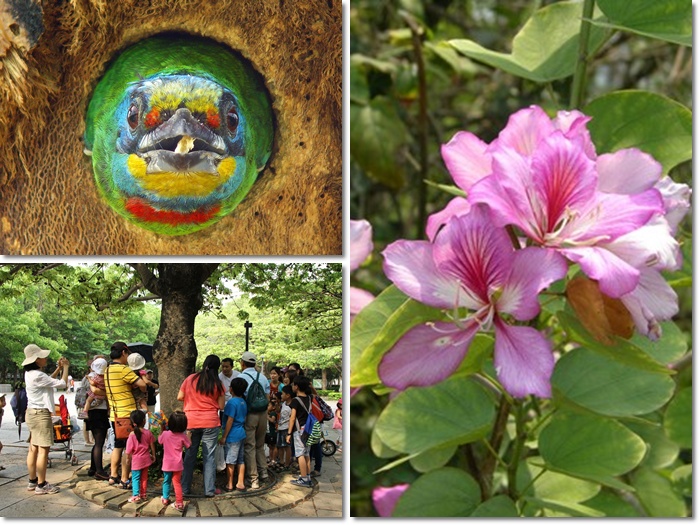 1040418-0419-親子自然觀察活動