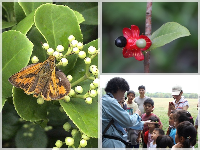 1040425-0426-親子自然觀察活動