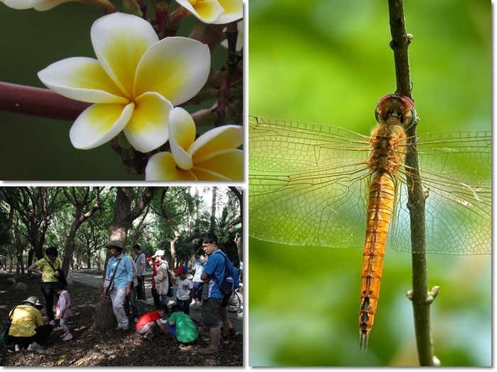 1040509-0510-親子自然觀察活動 1040509-0510-親子自然觀察活動