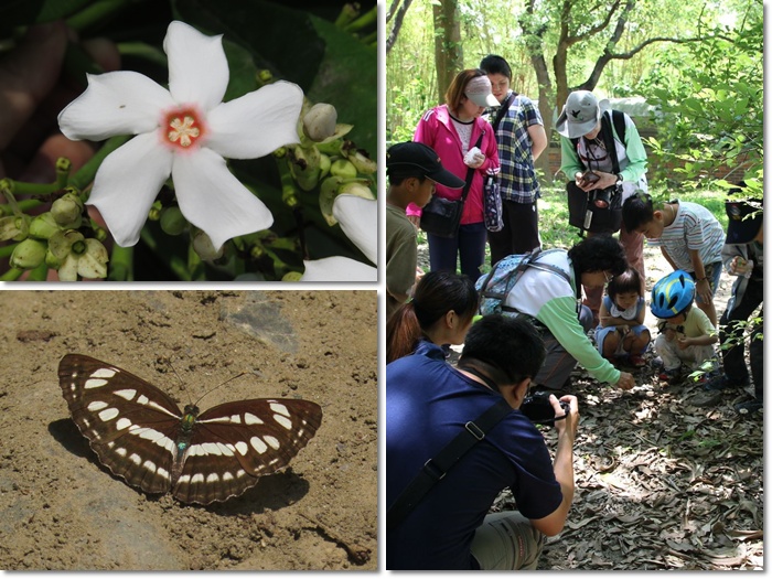 1040516-0517-親子自然觀察活動