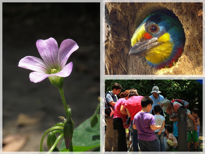 1040523-0524-親子自然觀察活動