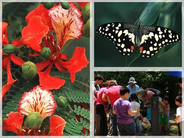 1040606-0607-親子自然觀察活動