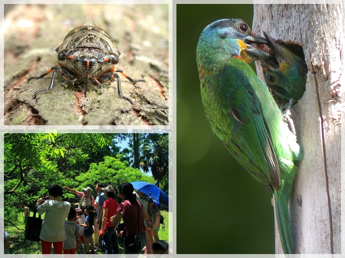 1040613-0614-親子自然觀察活動