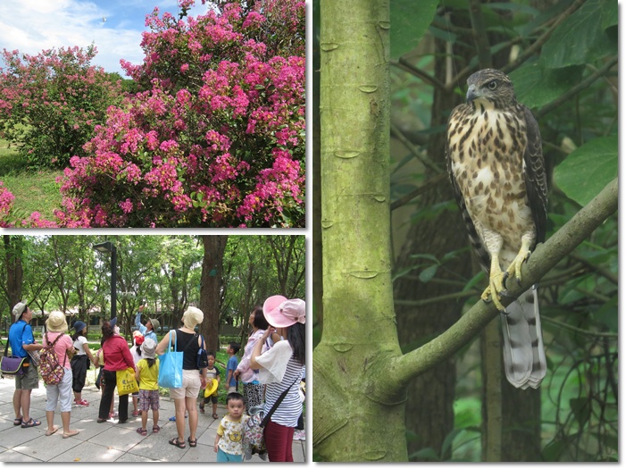 1040704-0705-親子自然觀察活動