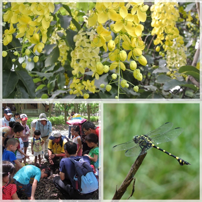 1040711-0712-親子自然觀察活動 1040711-0712-親子自然觀察活動