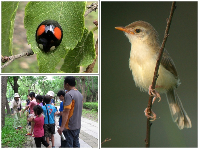 1040801-0802-親子自然觀察活動