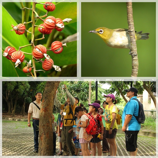 1040808-0809-親子自然觀察活動 1040808-0809-親子自然觀察活動