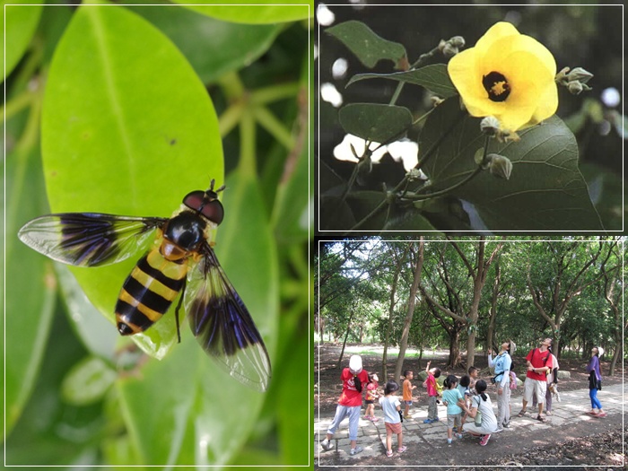 1040815-0816-親子自然觀察活動 1040815-0816-親子自然觀察活動