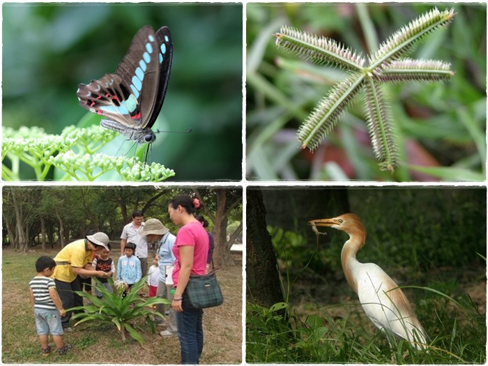 1040829-0830-親子自然觀察活動