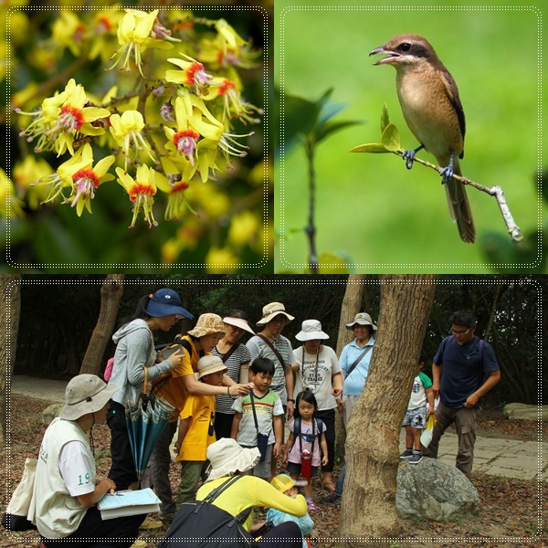 1040926-0927-親子自然觀察活動 1040926-0927-親子自然觀察活動