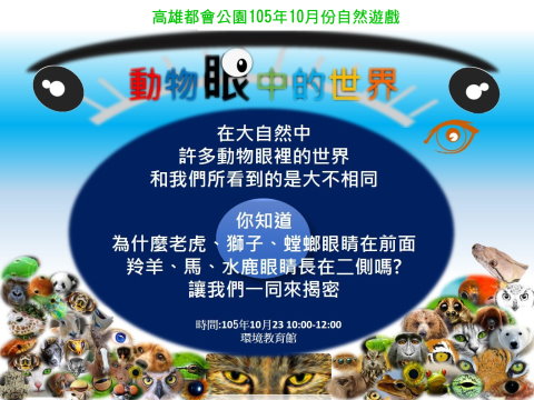 1051023-動物眼中的世界--海報
