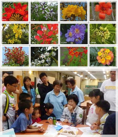 1060226-自然遊戲-春神來了百花開-海報圖片 1060226-自然遊戲-春神來了百花開-海報圖片