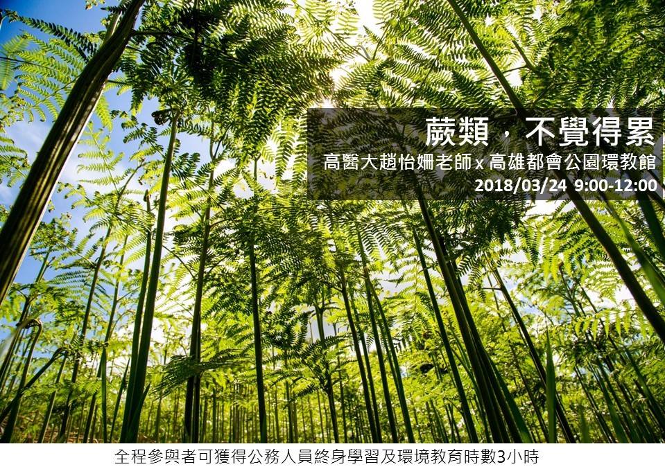 1070324蕨類不覺得累